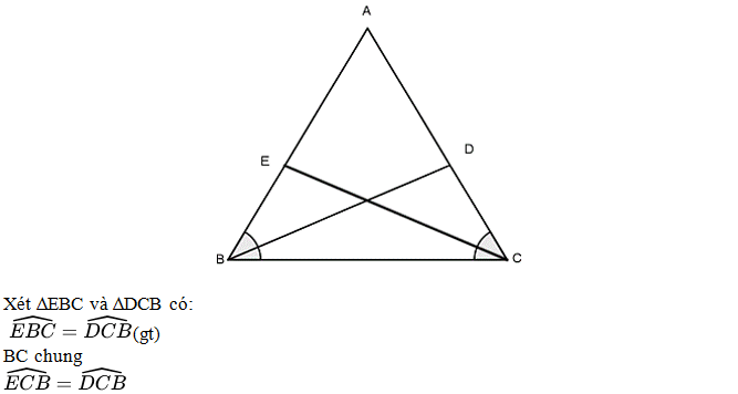 Hai tam giác bằng nhau khi và chỉ khi chúng có diện tích bằng nhau đúng hay sai? (ảnh 16)