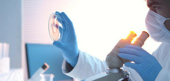 Hãy cho biết các phương pháp nghiên cứu vi sinh vật thường thấy trong phòng thí nghiệm?