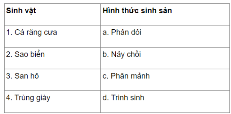 Câu 26.2 trang 85 SBT Sinh học 11: Hãy chọn câu trả lời đúng khi ghép tên các loài sinh vật tương ứng với hình thức sinh sản của chúng.