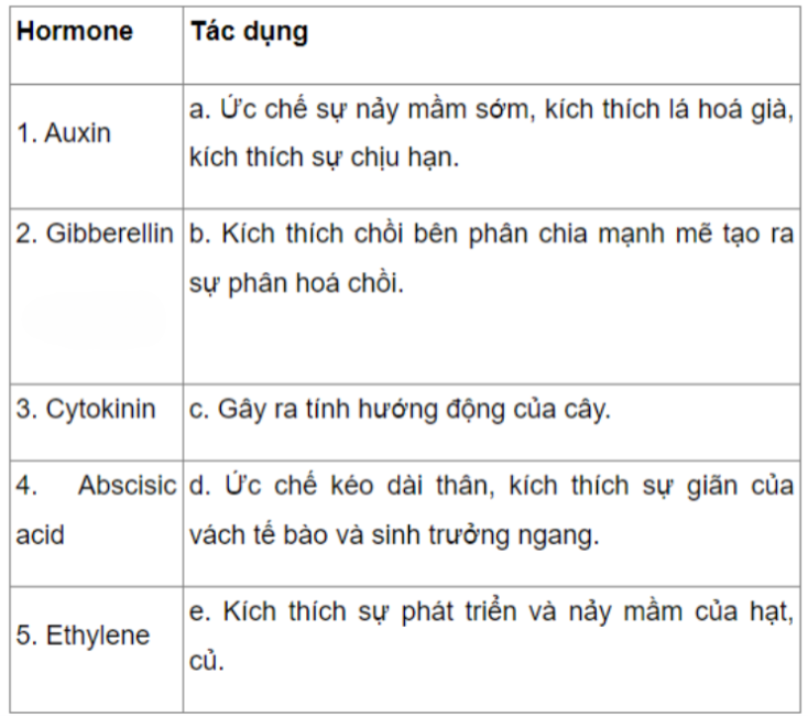 Câu 20.2 trang 71 SBT Sinh học 11: Hãy chọn câu trả lời đúng về sự tương ứng giữa các loại hormone và ảnh hưởng của chúng đến sự sinh trưởng và phát triển của sinh vật.