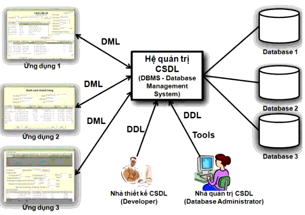 nhà quản trị CSDL