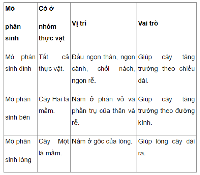 Câu 20.6 trang 72 SBT Sinh học 11: Hãy lập bảng phân biệt các loại mô phân sinh (thực hiện theo các cột: tên mô phân sinh, có ở nhóm thực vật nào, vị trí, vai trò).