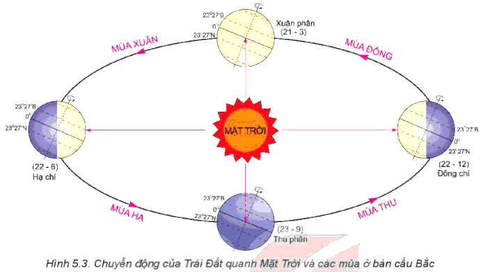Hãy mô tả chuyển động của Trái Đất quanh Mặt Trời (quỹ đạo, hướng chuyển động, hướng và độ nghiêng của trục Trái Đất, thời gian hoàn thành 1 vòng chuyển động)?