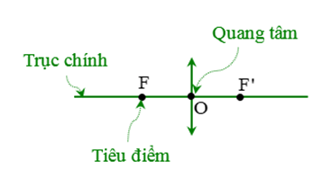 Hãy nêu đường truyền của ba tia sáng đặc biệt qua thấu kính hội tụ (ảnh 5)