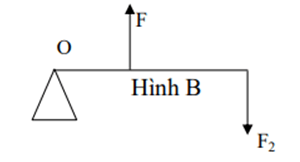 Hãy nêu một số ứng dụng của đòn bẩy (ảnh 3)