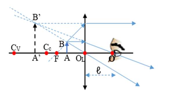 Hãy nêu tác dụng của kính lúp?