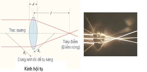 Hãy nêu tác dụng của kính lúp? (ảnh 3)