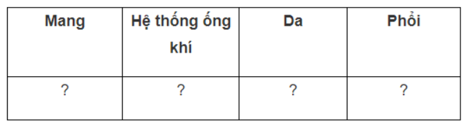 Bài 9.11 trang 32 SBT Sinh học 11: Hãy sắp xếp các loài động vật sau vào bảng bên dưới cho phù hợp với hình thức trao đổi khí: khỉ, cá heo, cá sấu, cá mập