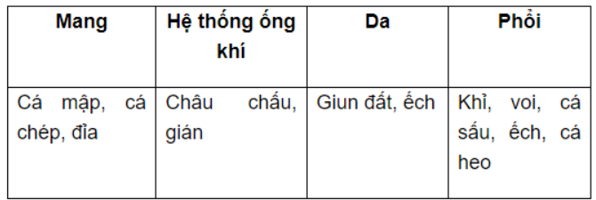Bài 9.11 trang 32 SBT Sinh học 11: Hãy sắp xếp các loài động vật sau vào bảng bên dưới cho phù hợp với hình thức trao đổi khí: khỉ, cá heo, cá sấu, cá mập