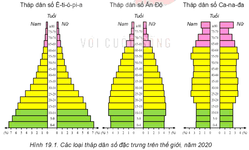 Hãy so sánh sự khác nhau giữa tháp dân số năm 2020 của các nước Ê-ti-ô-pi-a, Ấn Độ và Ca-na-đa?