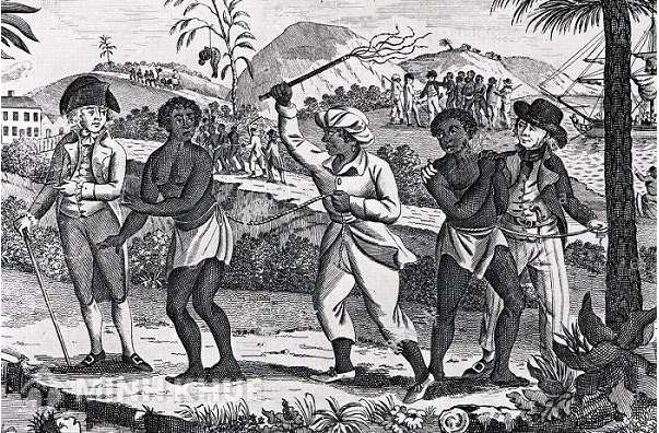 Hãy so sánh thân phận của nông nô với thân phận nô lệ? | Lịch sử 10