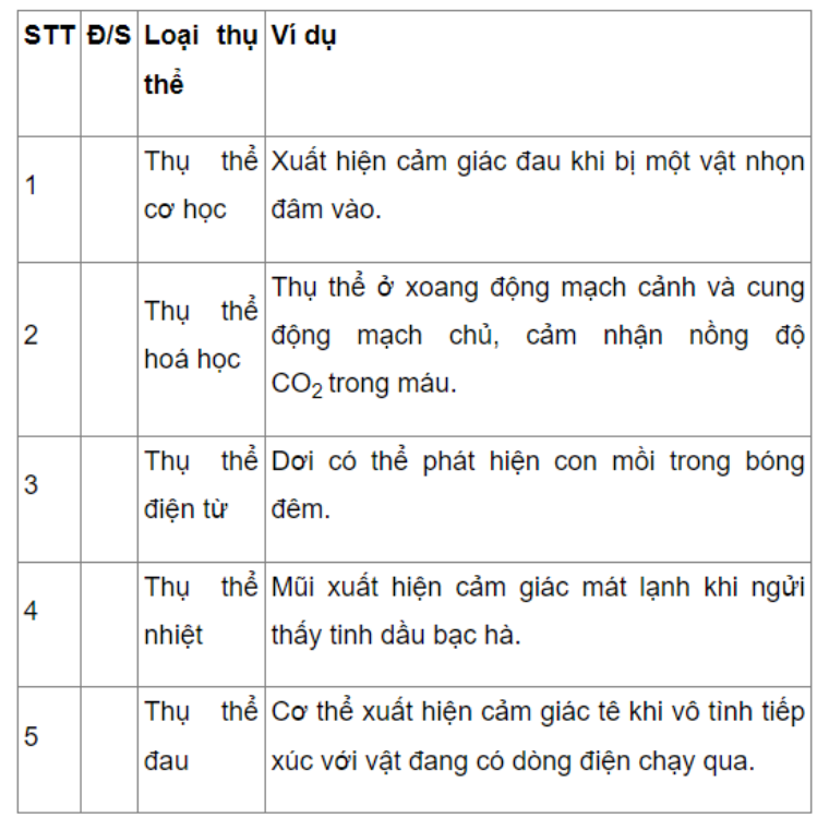 Câu 17.28 trang 60 SBT Sinh học 11: Hãy xác định trong các ví dụ sau đây, vai trò của các loại thụ thể là đúng hay sai bằng cách ghi Đ hoặc S vào cột tương ứng trong bảng sau.