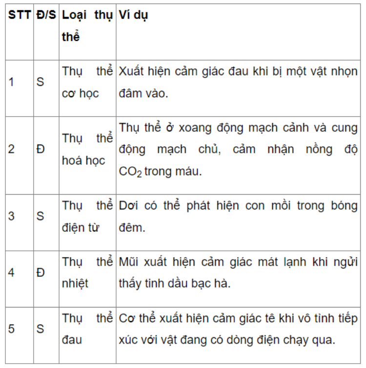 Câu 17.28 trang 60 SBT Sinh học 11: Hãy xác định trong các ví dụ sau đây, vai trò của các loại thụ thể là đúng hay sai bằng cách ghi Đ hoặc S vào cột tương ứng trong bảng sau.