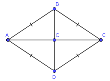Hình nào trong các hình sau không có trục đối xứng