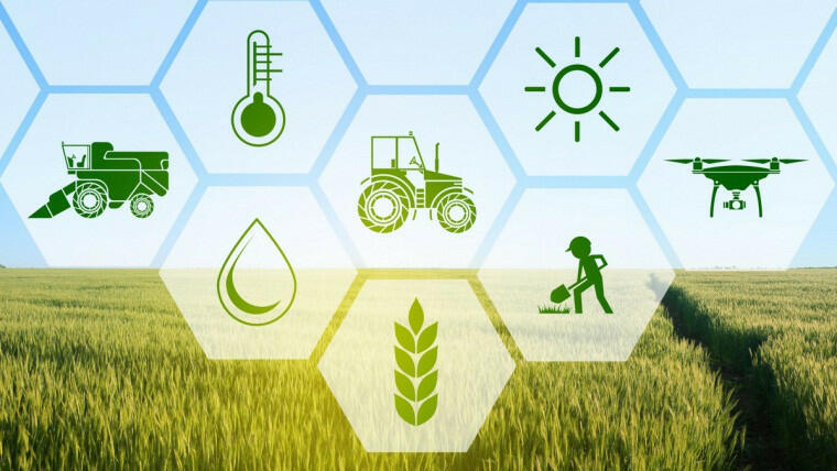 Hình thức tổ chức lãnh thổ nông nghiệp có vai trò thúc đẩy liên kết trong sản xuất, chế biến và tiêu thụ nông sản là