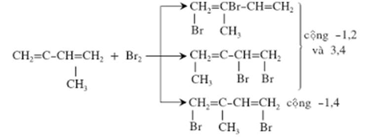 Hiệu ứng cộng hai phân tử isopren + br2 40 độ c điều chỉnh được