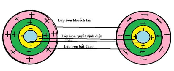 Khả năng trao đổi ion của keo đất có được là nhờ: | Công nghệ 10