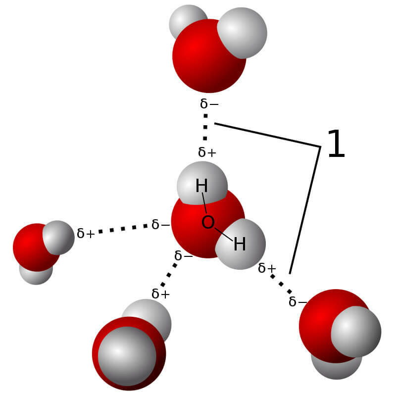 Khái niệm liên kết hydrogen Giải thích sự xuất hiện liên kết hydrogen