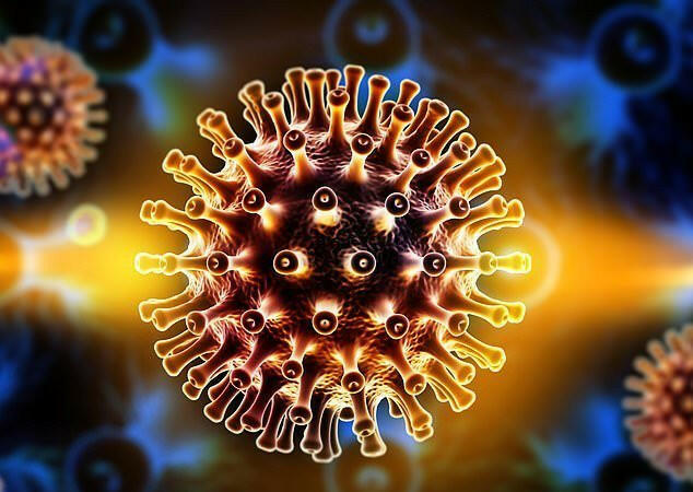 Khẳng định nào dưới đây về sự bùng nổ của một dịch virus mới nổi là đúng
