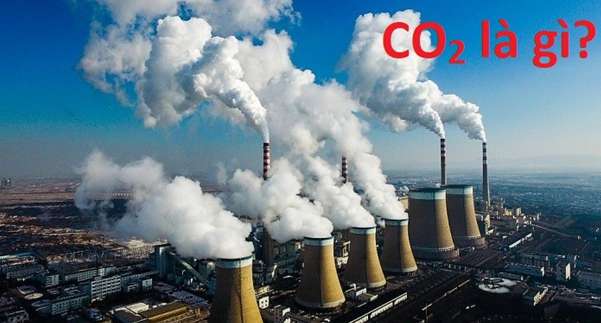 [CHUẨN NHẤT] Khí CO2 sinh ra từ đâu, nguồn gốc sinh ra khí CO2, quy trình tạo ra khí CO2 (ảnh 2)
