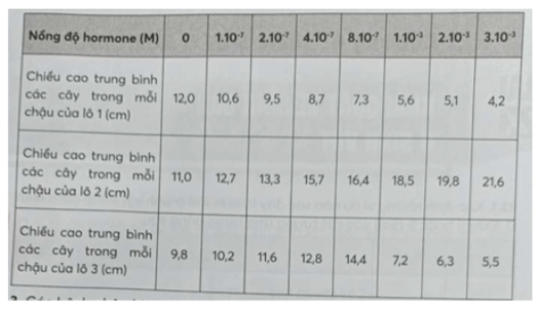 Câu 2 trang 76 SBT Sinh học 11: Khi nghiên cứu về ba loại hormone: A, B và ethylene, các nhà khoa học đã trồng một loài thực vật trong cùng điều kiện rồi chia thành ba lô riêng biệt (1, 2, 3).