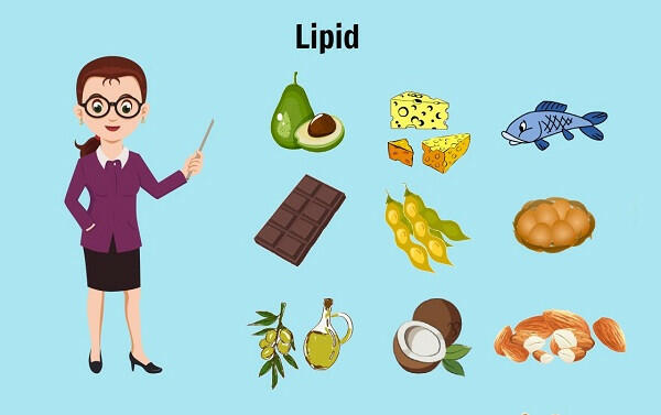  Khi nói về lipid, có bao nhiêu phát biểu sau đây là đúng?