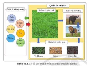Soạn KHTN 8 Cánh diều Bài 41: Hệ sinh thái