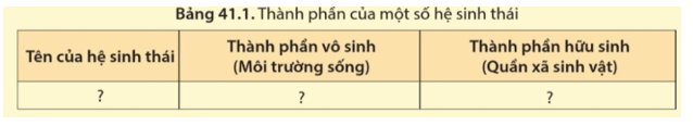 Soạn KHTN 8 Cánh diều Bài 41: Hệ sinh thái