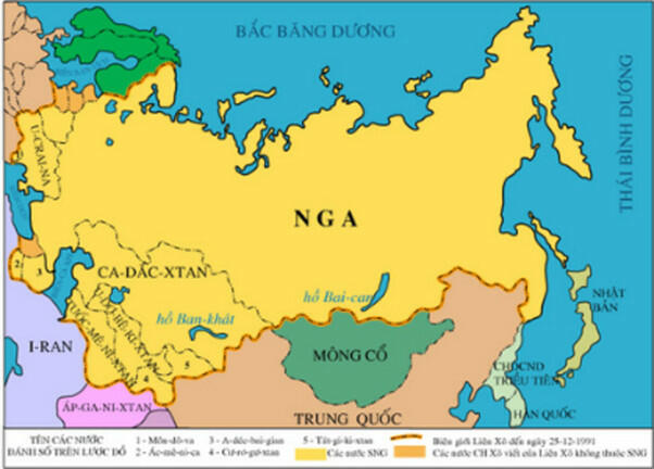 Lãnh thổ Liên Bang Nga chủ yếu nằm trong vành đai khí hậu nào sau đây