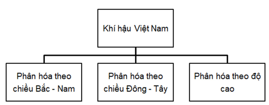 Lập sơ đồ thể hiện sự phân hóa đa dạng của khí hậu Việt Nam