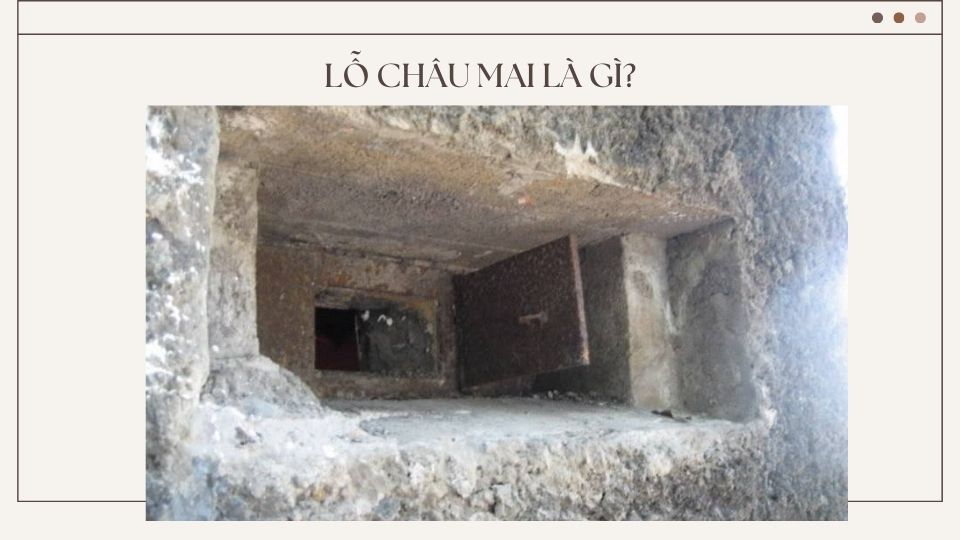 Lỗ châu mai là gì?