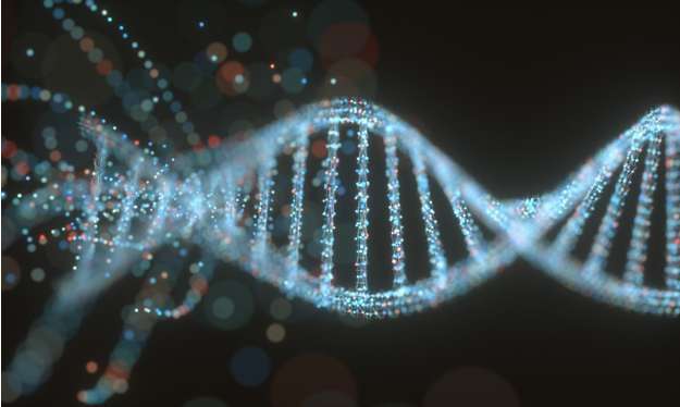 Loại đột biến gen nào xảy ra làm tăng 3 liên kết hiđrô?