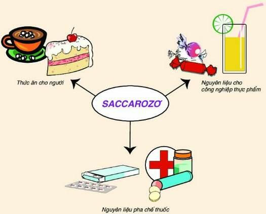Loại thực phẩm không chứa nhiều saccarozơ là