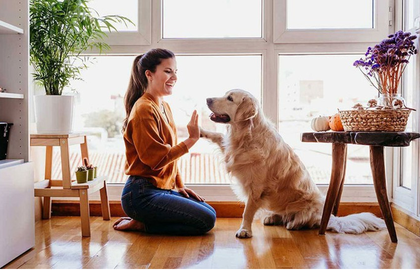 Lợi ích của việc nuôi thú cưng bằng tiếng Anh (ảnh 2)