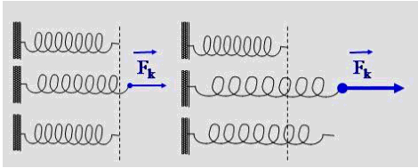 Lực đàn hồi của lò xo luôn có chiều