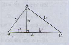 Lý thuyết các hệ thức lượng trong tam giác và giải tam giác