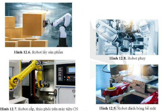 Lý thuyết Công nghệ 11 Cánh Diều Bài 12 (ảnh 4)