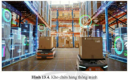 Lý thuyết Công nghệ 11 Cánh Diều Bài 13 (ảnh 2)
