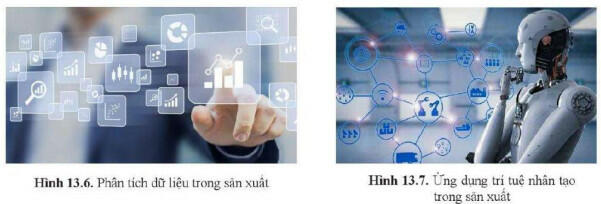 Lý thuyết Công nghệ 11 Cánh Diều Bài 13 (ảnh 4)