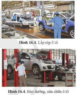 Lý thuyết Công nghệ 11 Cánh Diều Bài 16 (ảnh 2)