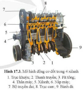 Lý thuyết Công nghệ 11 Cánh Diều Bài 17 (ảnh 3)