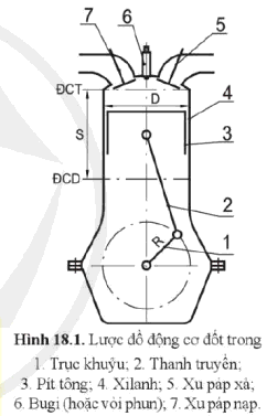 Lý thuyết Công nghệ 11 Cánh Diều Bài 18 