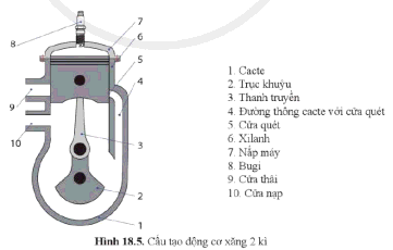 Lý thuyết Công nghệ 11 Cánh Diều Bài 18 (ảnh 5)