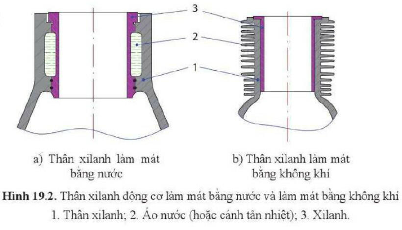 Lý thuyết Công nghệ 11 Cánh Diều Bài 19 (ảnh 2)