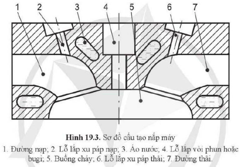 Lý thuyết Công nghệ 11 Cánh Diều Bài 19 (ảnh 3)