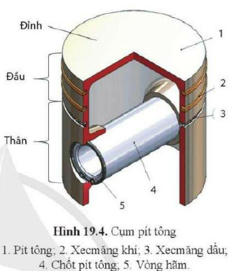 Lý thuyết Công nghệ 11 Cánh Diều Bài 19 (ảnh 4)