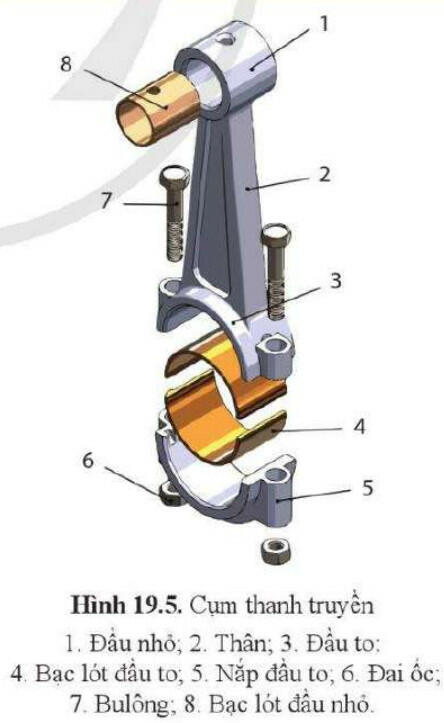 Lý thuyết Công nghệ 11 Cánh Diều Bài 19 (ảnh 5)