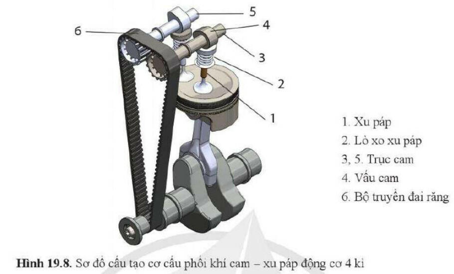 Lý thuyết Công nghệ 11 Cánh Diều Bài 19 (ảnh 8)