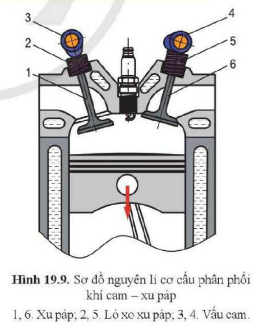 Lý thuyết Công nghệ 11 Cánh Diều Bài 19 (ảnh 9)