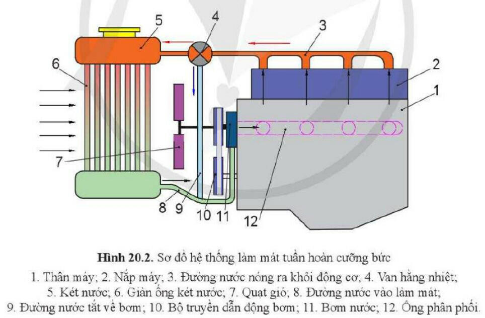 Lý thuyết Công nghệ 11 Cánh Diều Bài 20: Hệ thống bôi trơn và hệ thống làm mát (ảnh 1)